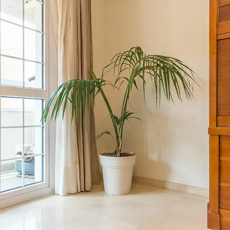 Soho Centro 3 アパート マラガ